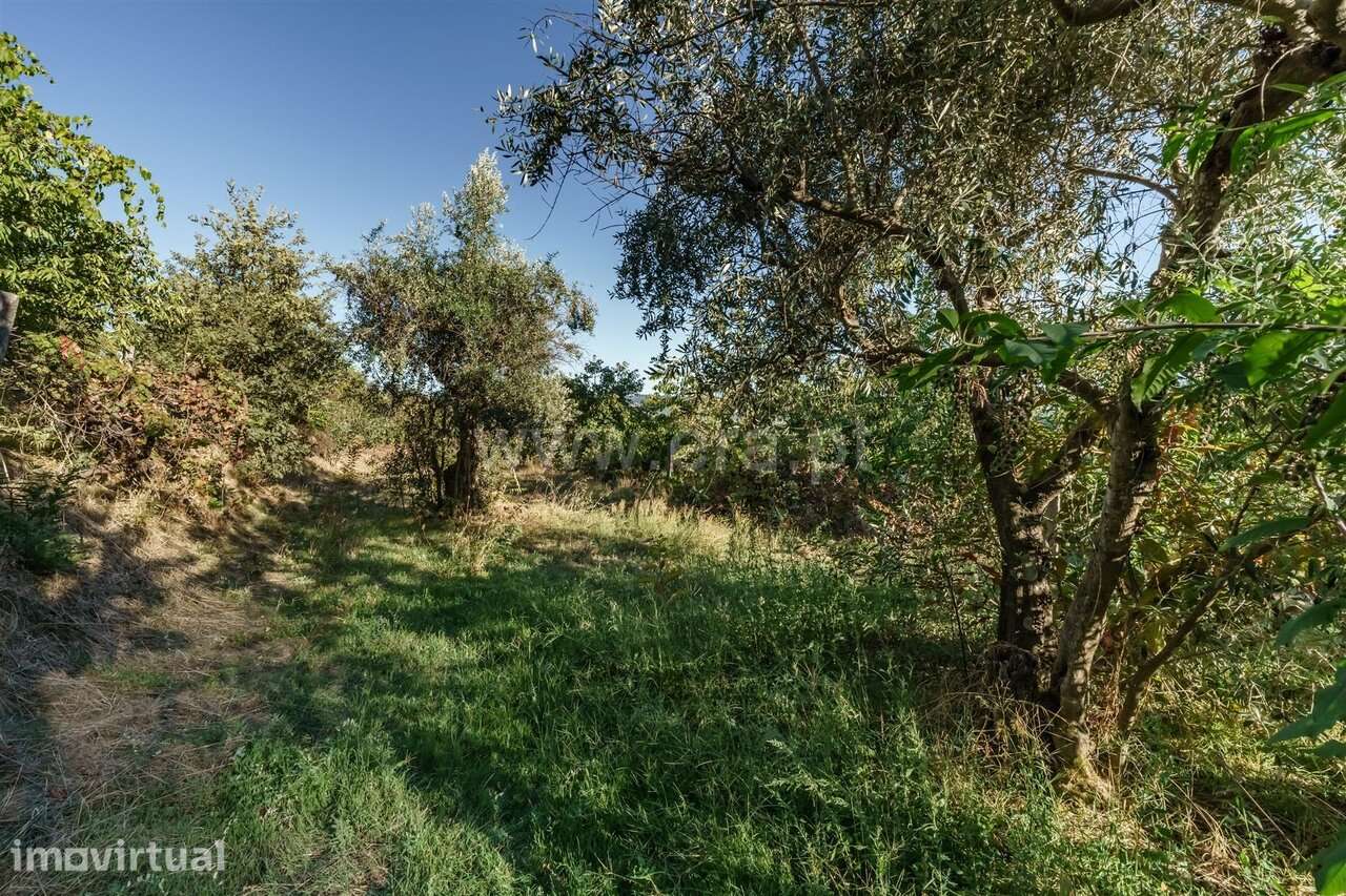 Terreno para Construção / Covilhã, Tortosendo - Grande imagem: 5/20