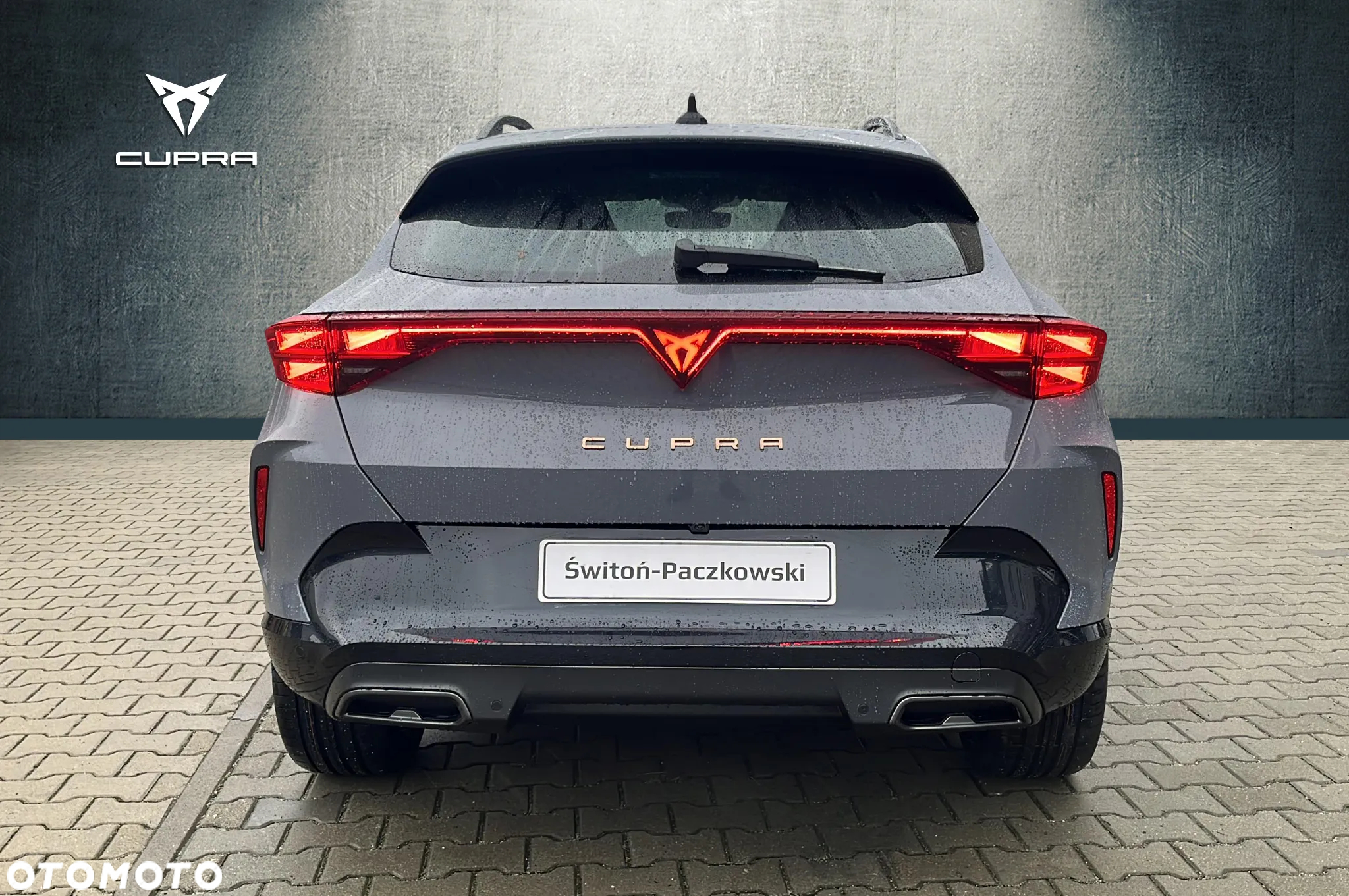 Cupra Formentor 2.0 TSI 4Drive DSG - 4