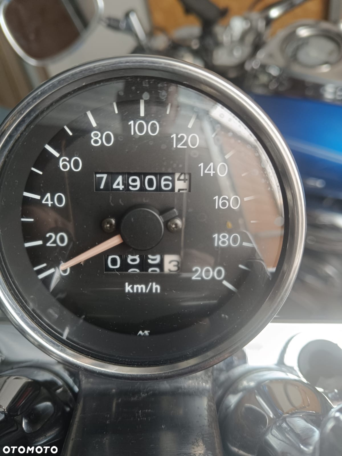 Suzuki Intruder - 8
