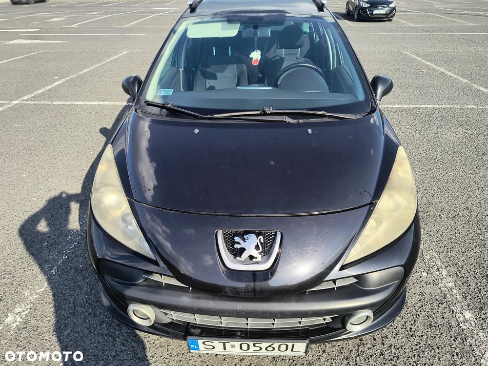 Peugeot 207 - 31