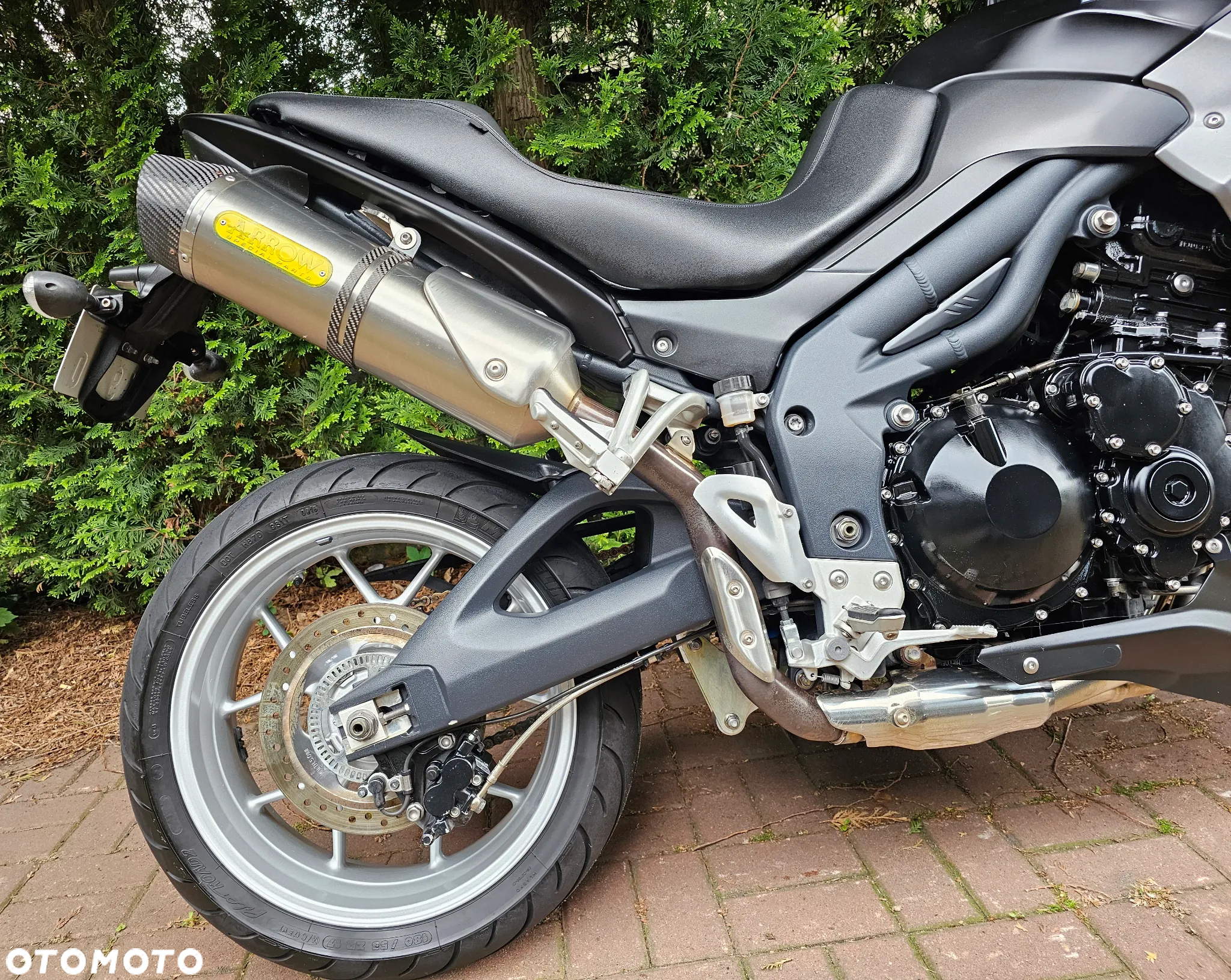 Triumph Tiger - 11