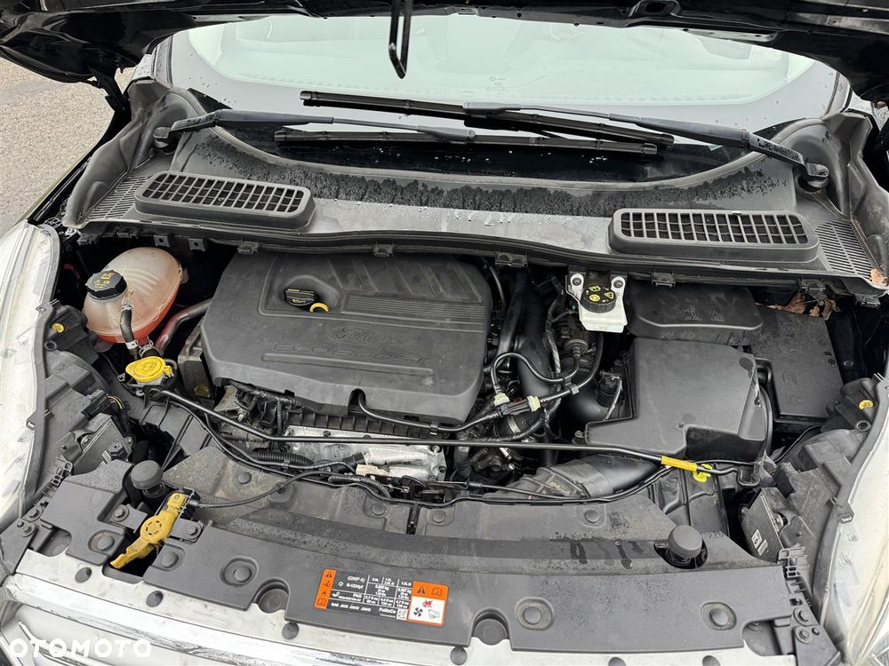 Ford Kuga 1.5 EcoBoost 2x4 Business Edition - 21