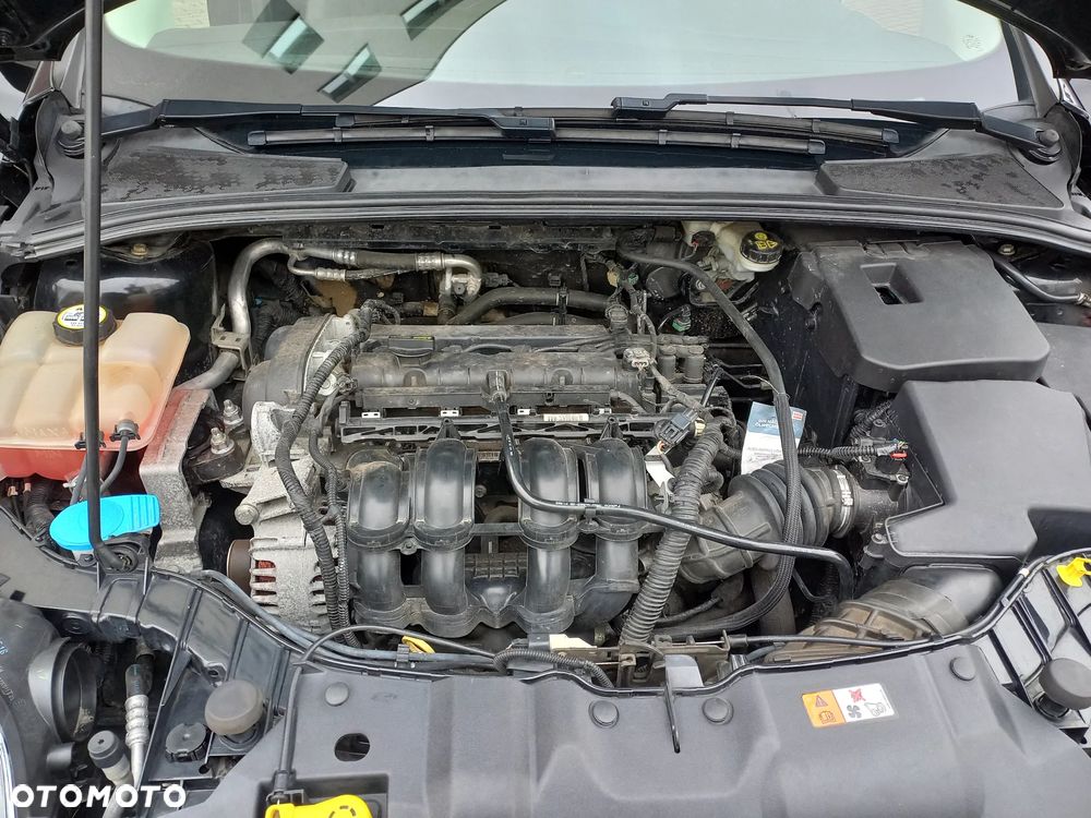 Ford Focus 1.6 TI-VCT Champions Edition - 16