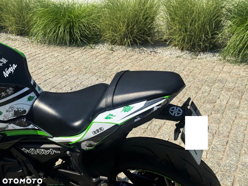Kawasaki Ninja - 10