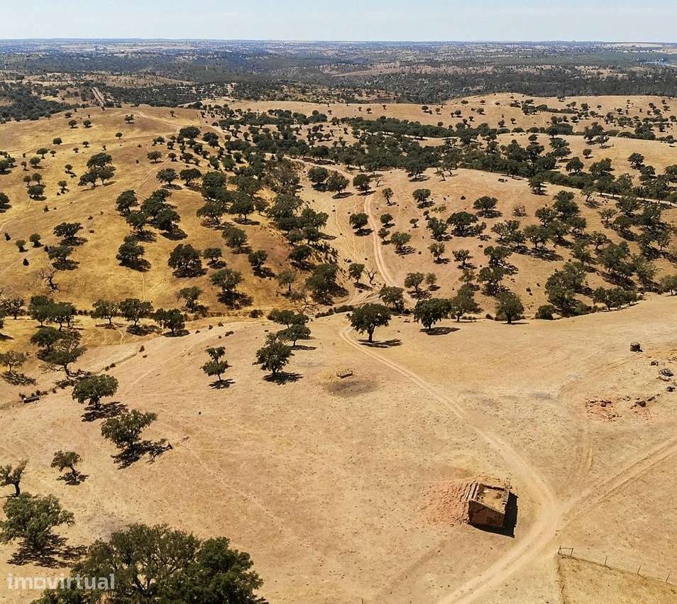 HERDADE COM 40 HECTARES NO CORAÇÃO DO ALENTEJO | AGUA SALGADA/ALCARIA - Grande imagem: 2/10