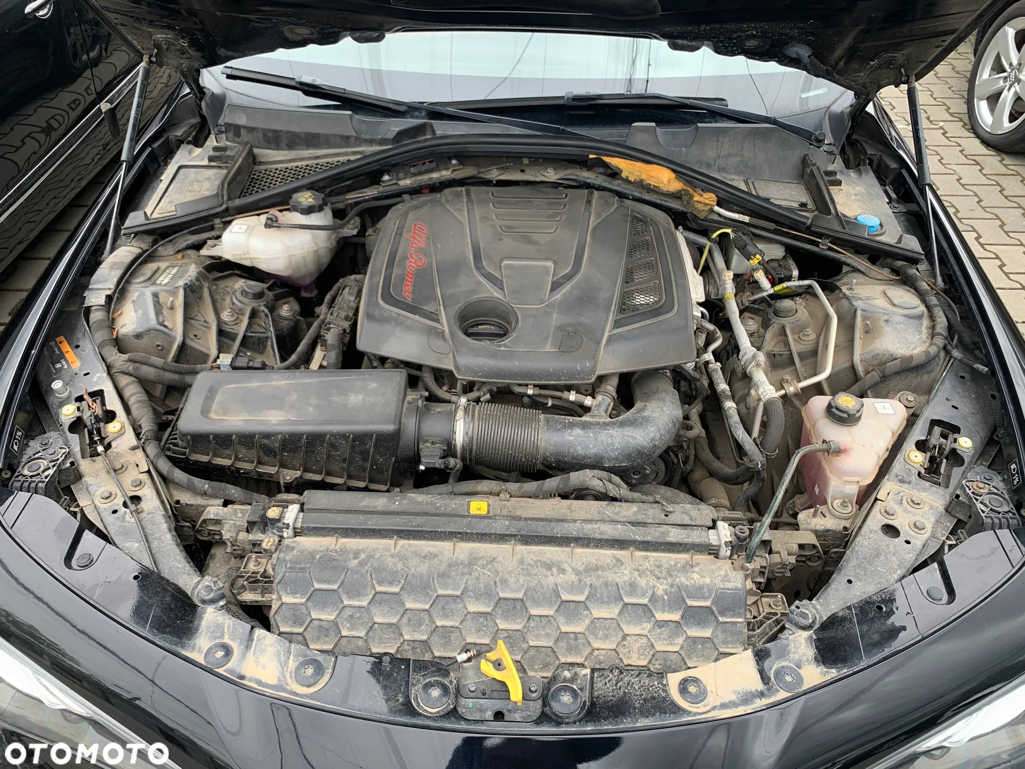 Alfa Romeo Giulia 2.0 Turbo Estrema Q4 - 23