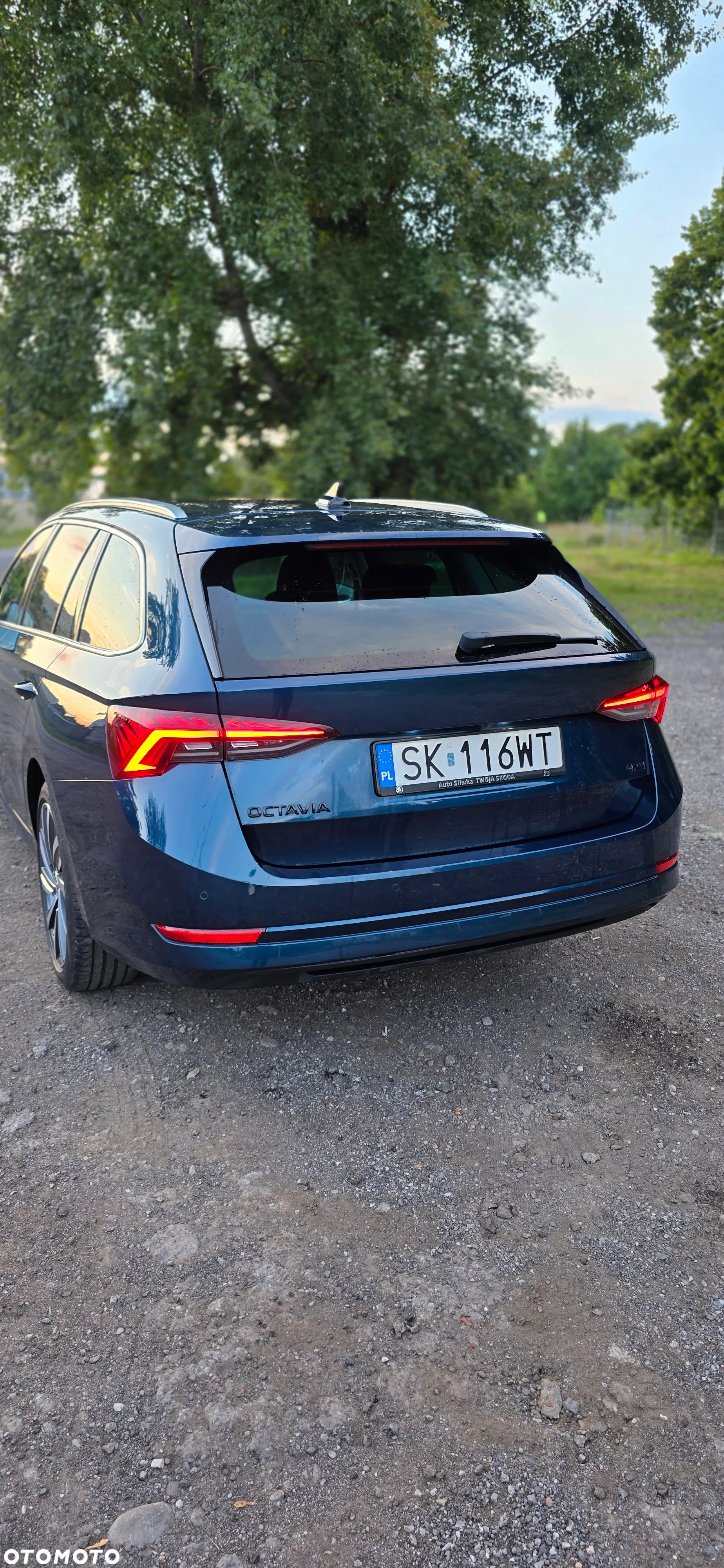 Skoda Octavia 2.0 TSI 4x4 Style DSG - 6