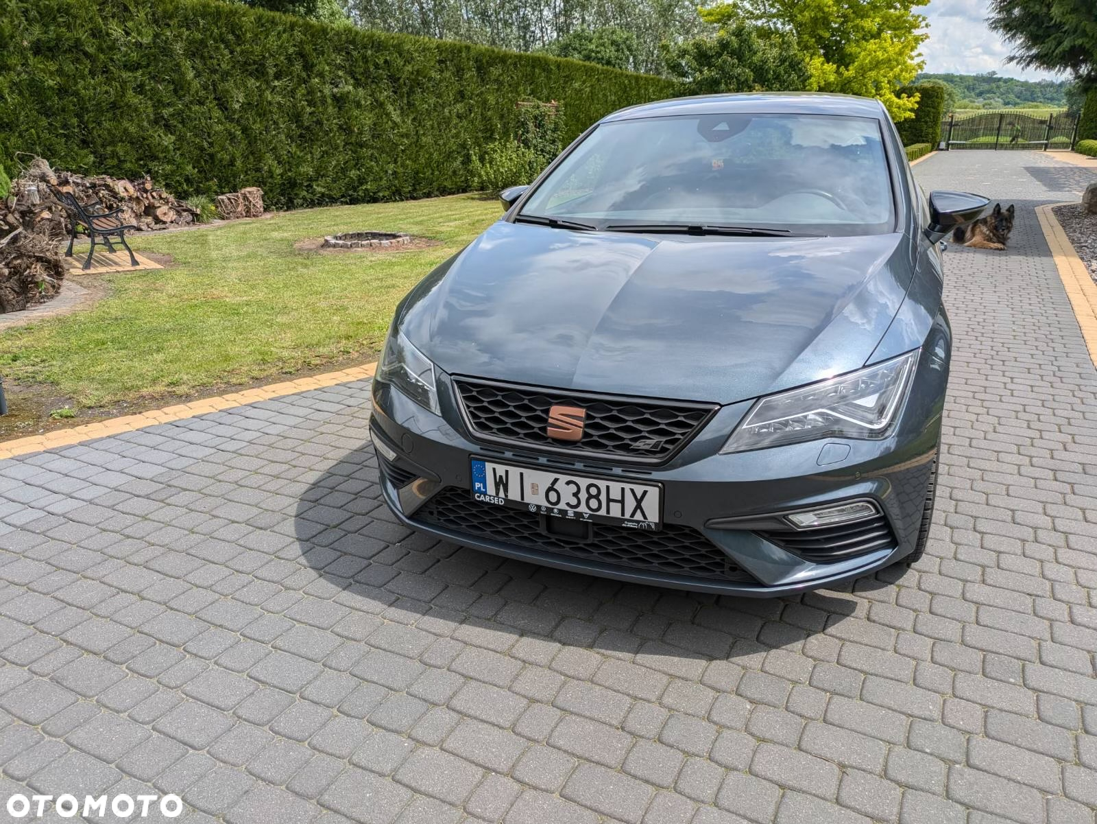 Seat Leon 2.0 TSI Cupra S&S DSG - 6