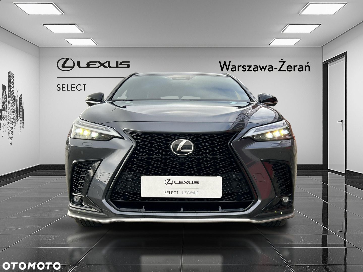 Lexus NX - 10