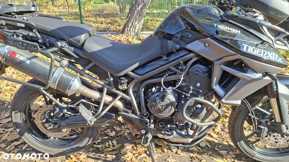 Triumph Tiger - 7