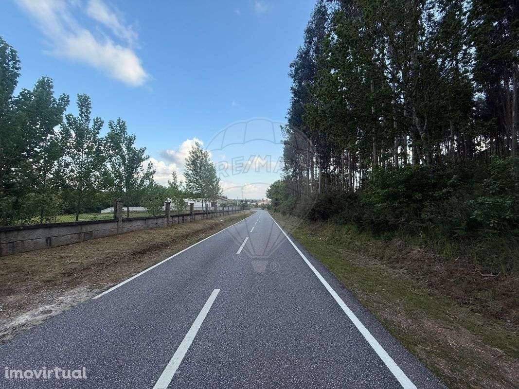 Terreno  para arrendamento - Grande imagem: 3/10