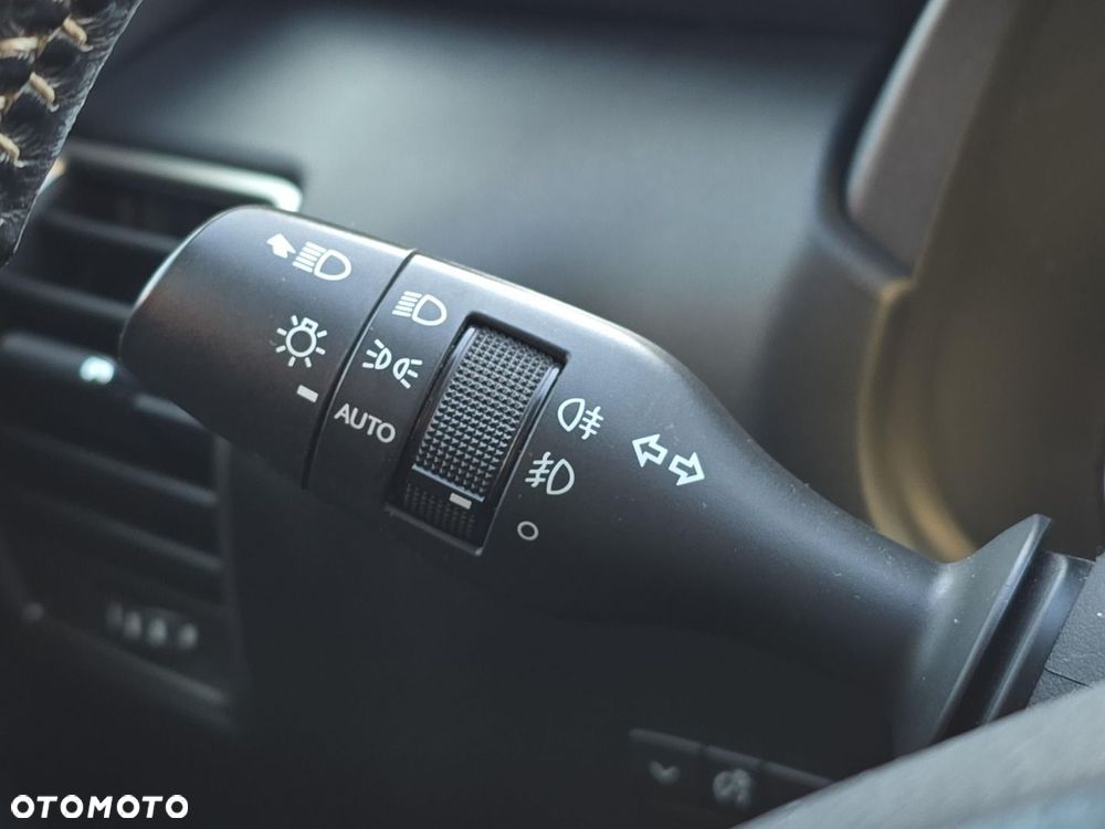 Lexus NX 300h Elite AWD - 24