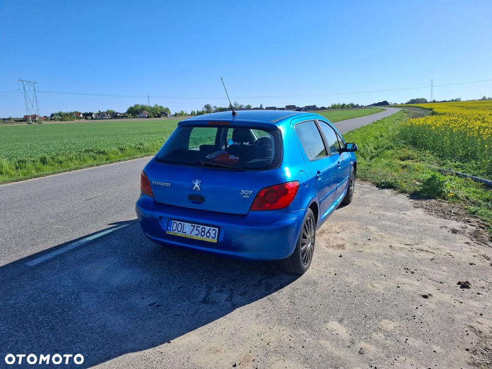 Peugeot 307 1.6 HDI Oxygo - 7