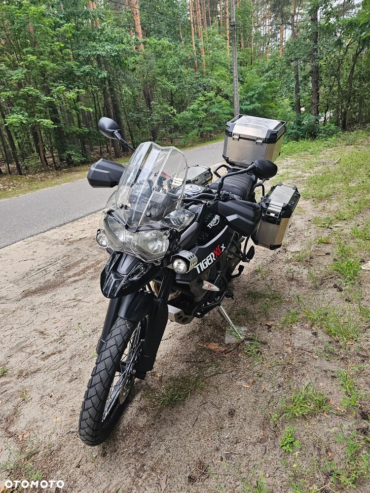 Triumph Tiger - 5