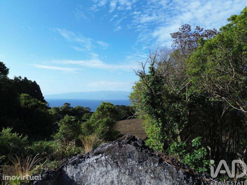 Casa / Villa T2 em Ribeirinha de 695,00 m2 - Grande imagem: 5/10