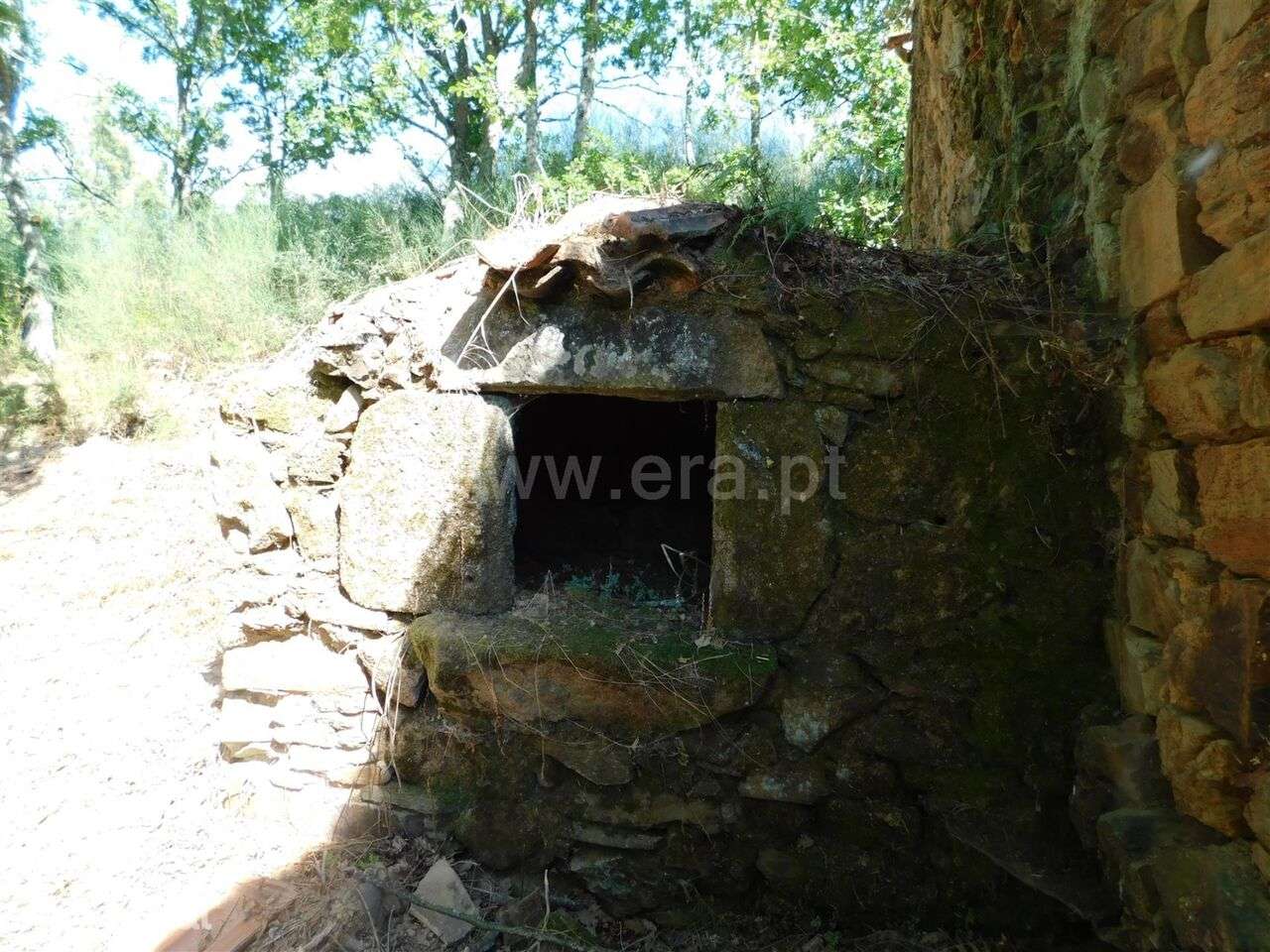 Terreno com ruina / Seia, Seia - Grande imagem: 5/10