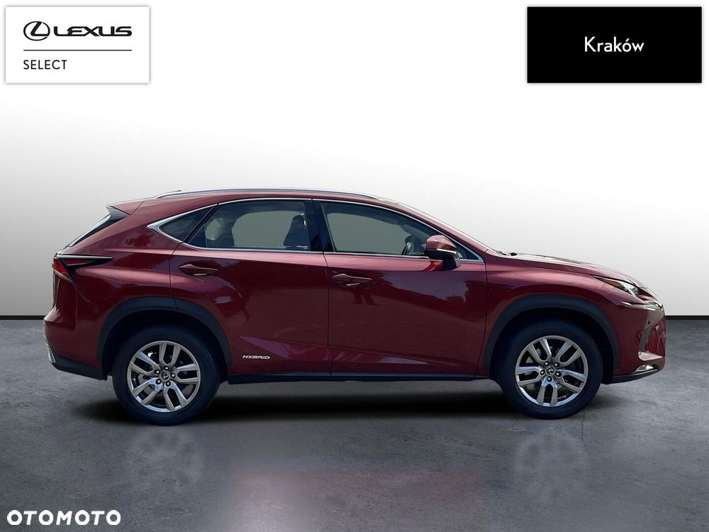 Lexus NX 300h Business Edition AWD - 6