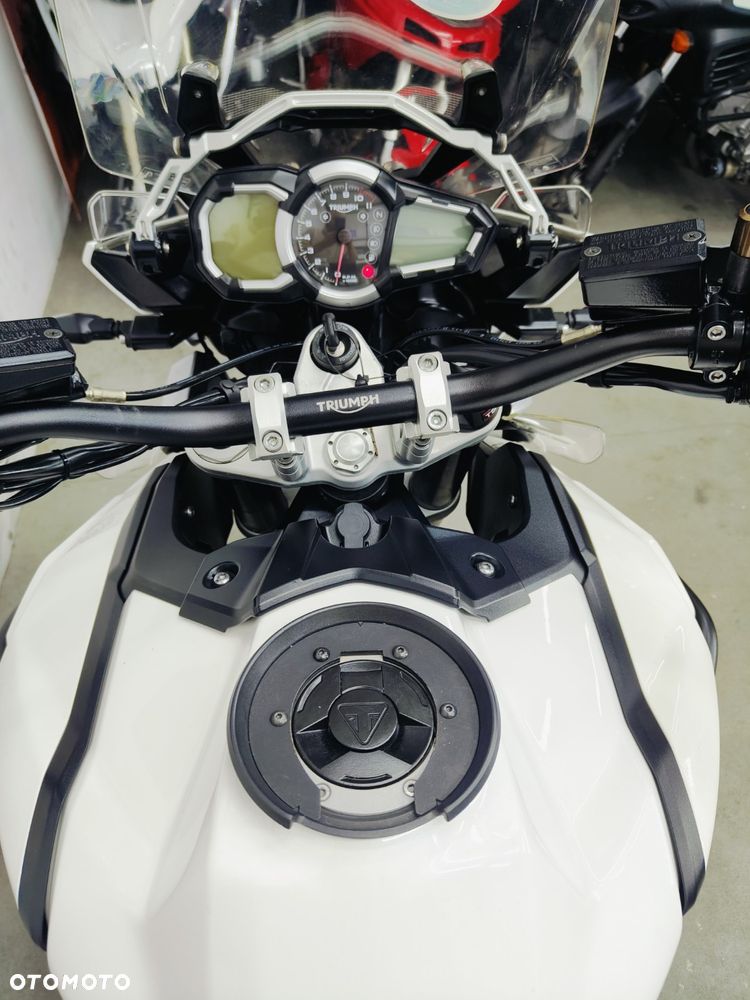 Triumph Tiger - 15