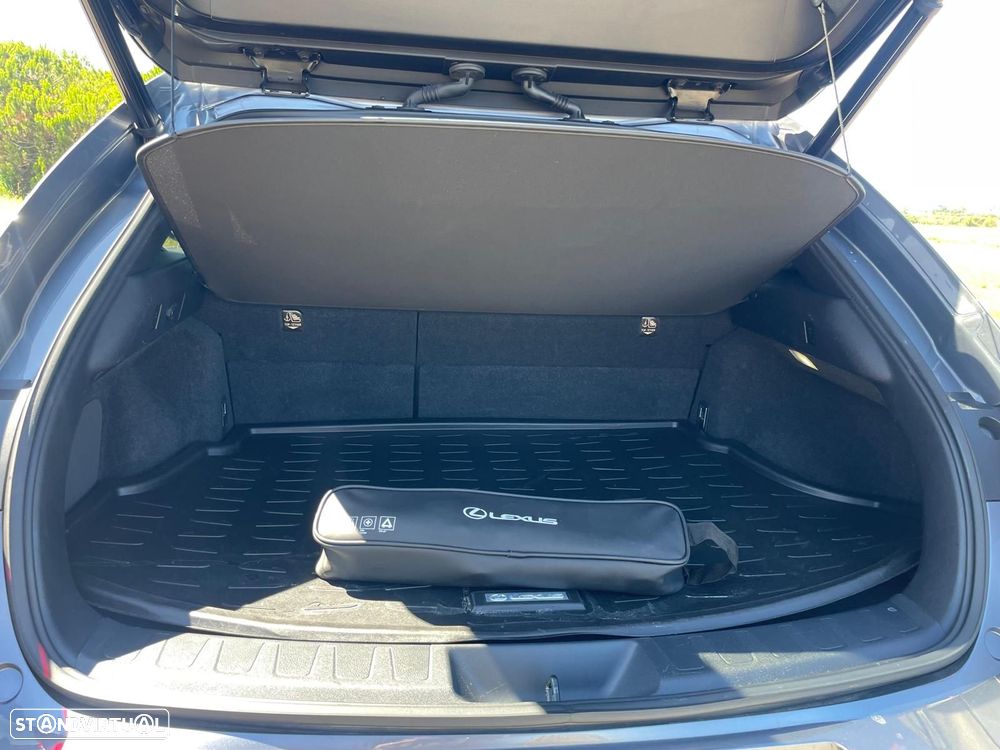 Lexus UX 250h Luxury - 16