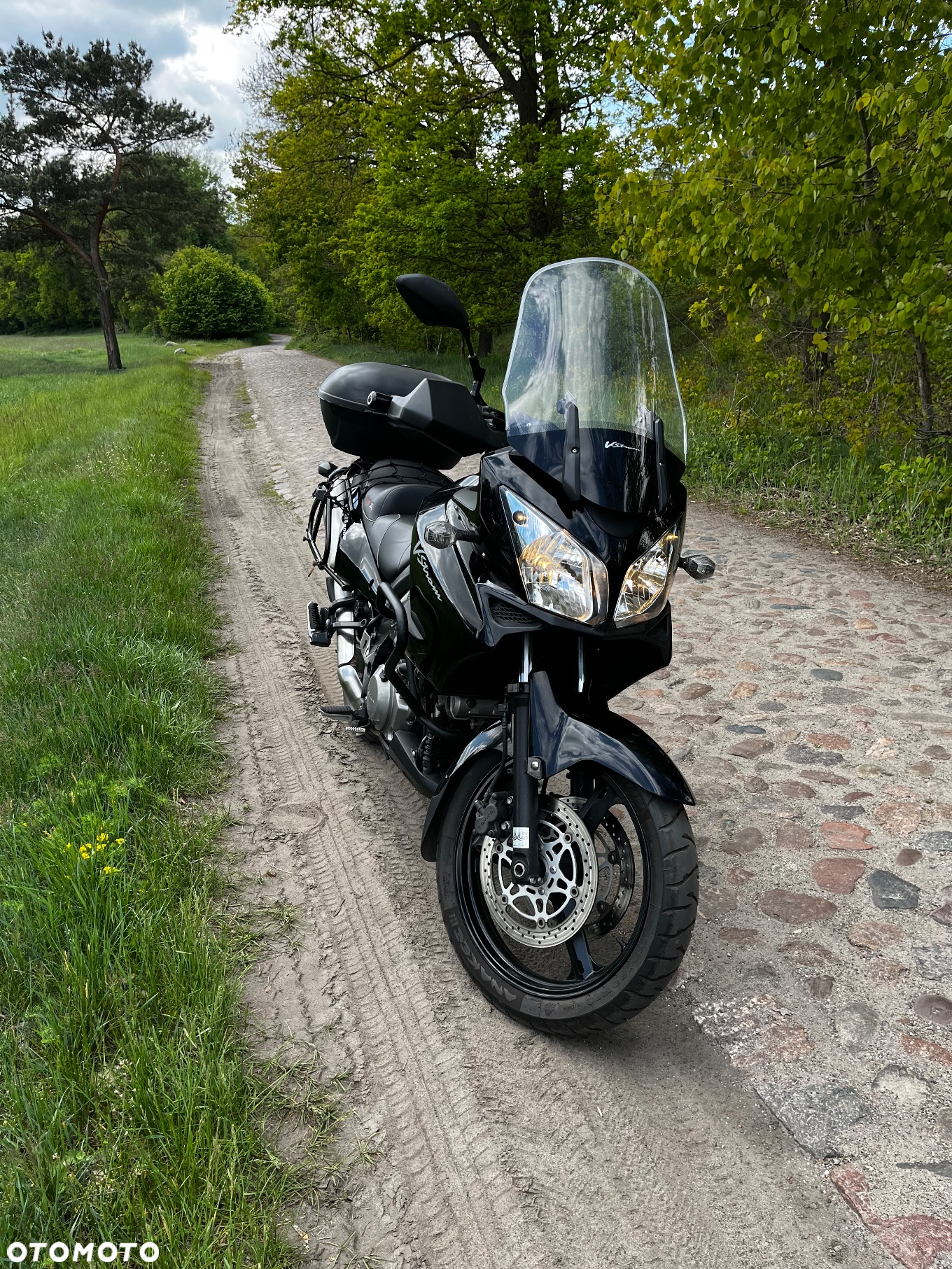 Suzuki DL - 11