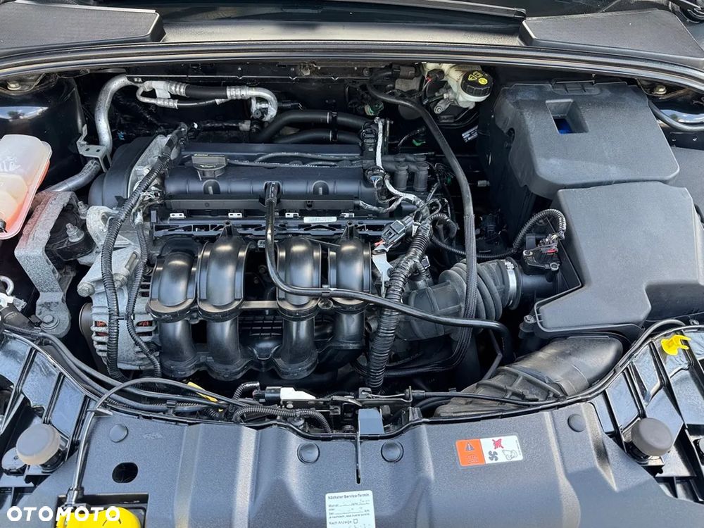 Ford Focus - 32