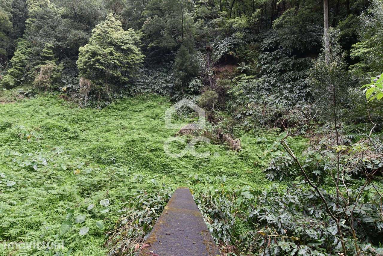 Terreno com 2500,00 m2 - Água de Pau - Lagoa - Grande imagem: 3/9