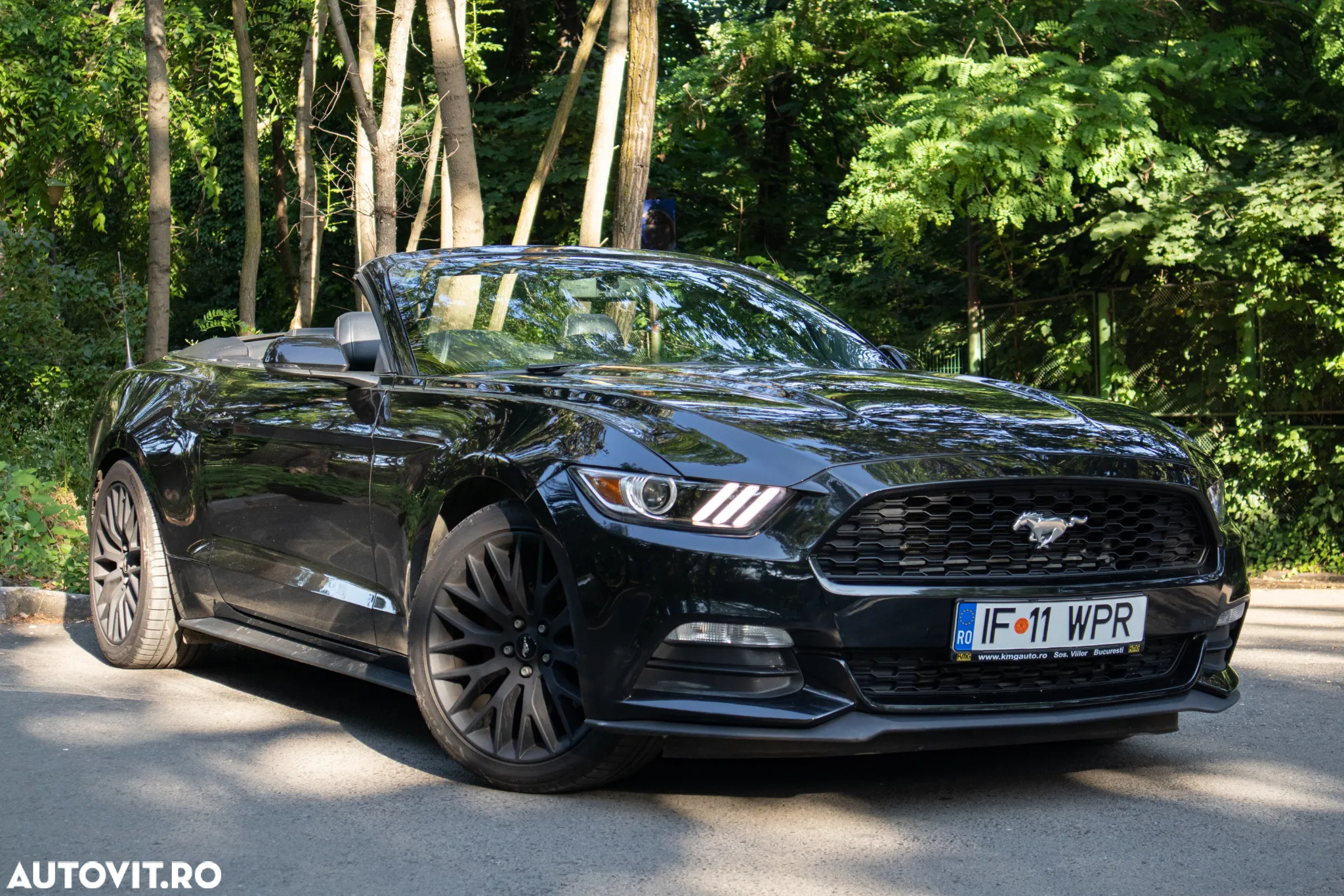 Ford Mustang Cabrio 2.3 Eco Boost - 7