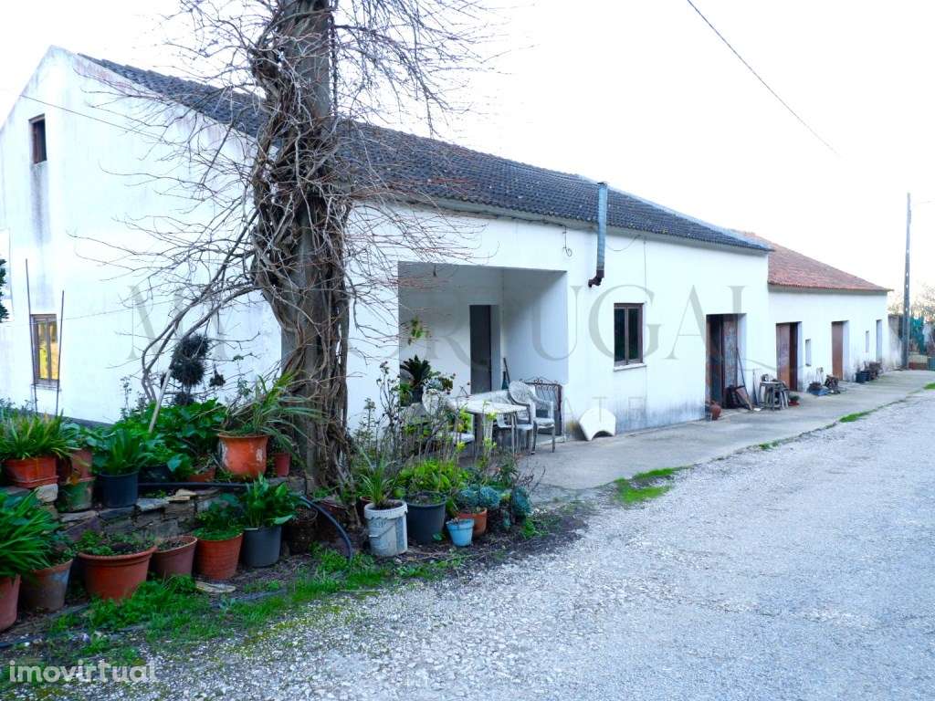 Moradia T4 com Extensa Propriedade Rústica em Odeceixe, Aljezur - U... - Grande imagem: 2/40