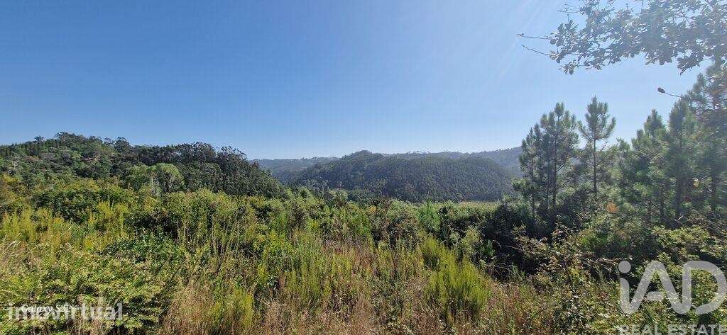 Terreno Agrícola em Azueira e Sobral da Abelheira - Grande imagem: 5/33