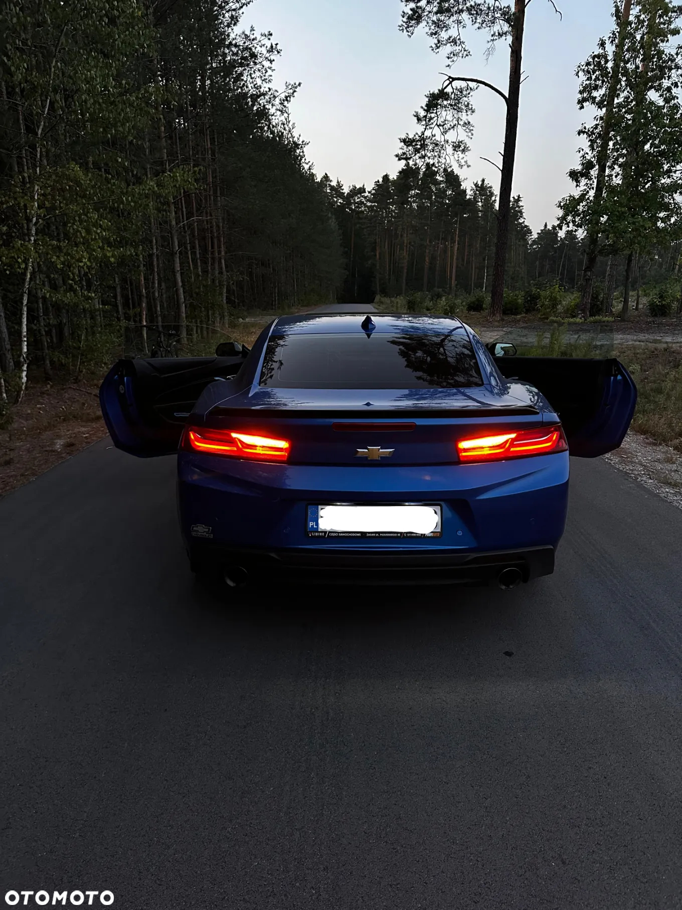 Chevrolet Camaro Coupe 2.0 - 12