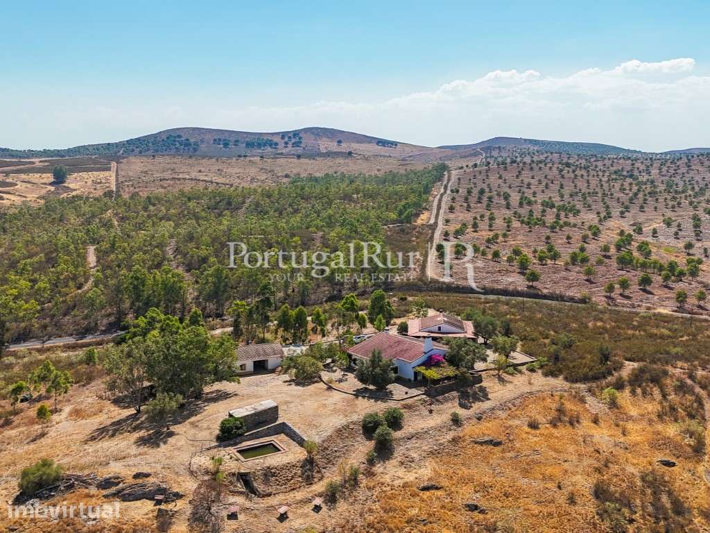 Propriedade com 9,3 ha e 3 casas no P. N. do Vale do Guadiana - Grande imagem: 5/60