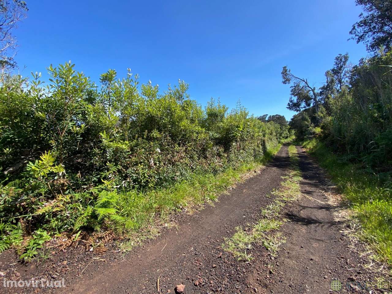 Venda Terreno - Grande imagem: 4/4