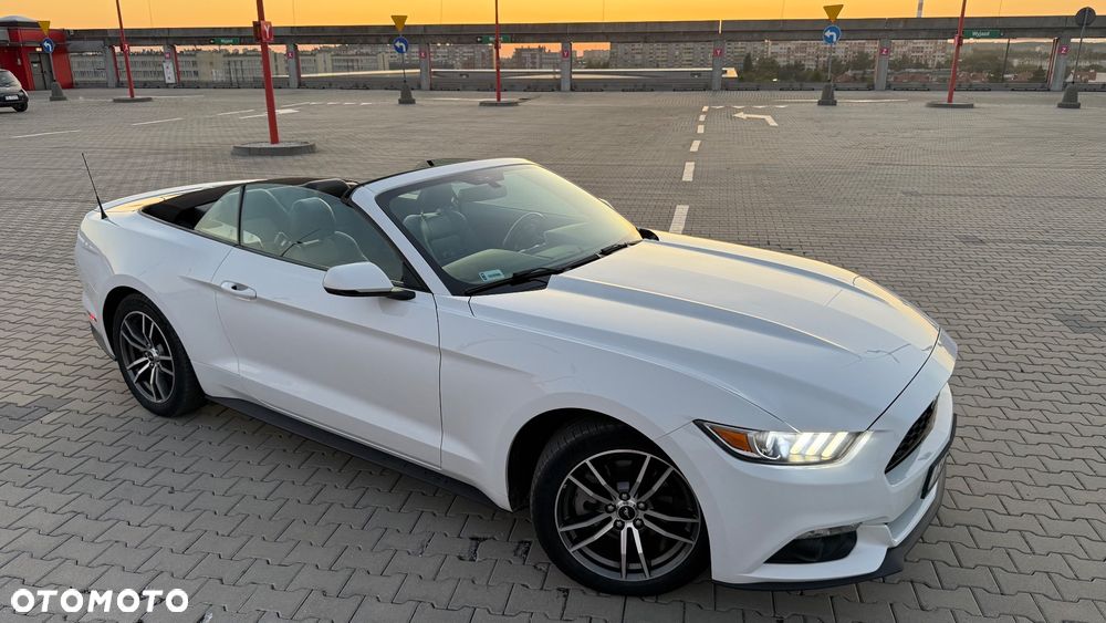 Ford Mustang - 19
