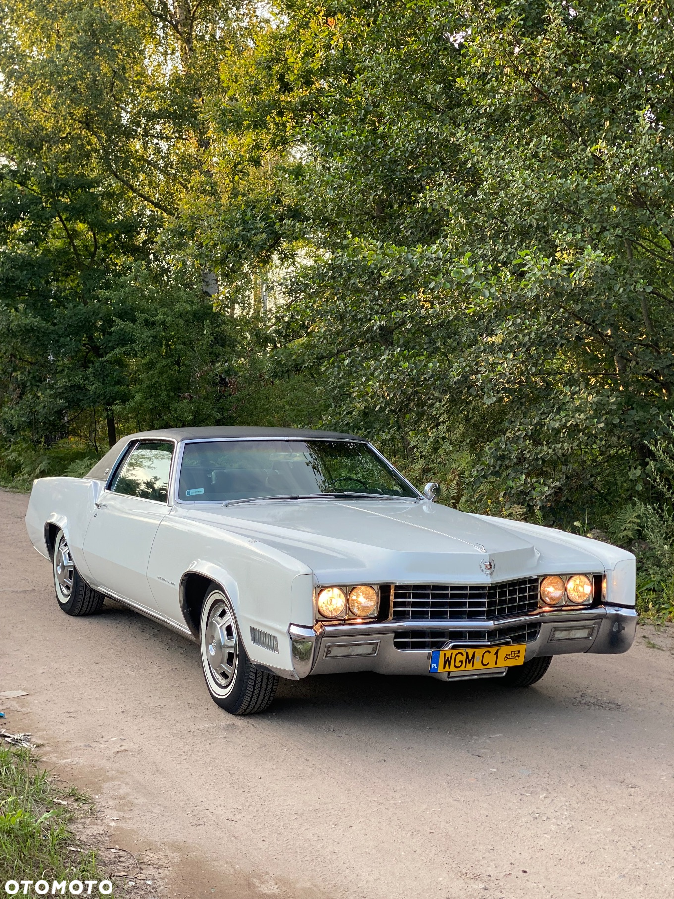 Cadillac Eldorado - 3