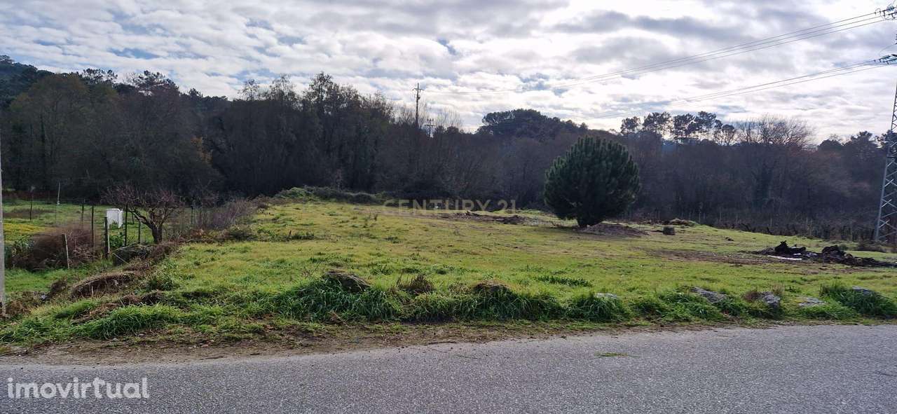 Terreno em São João de Lourosa, Viseu - Oportunidade Única - Grande imagem: 5/8
