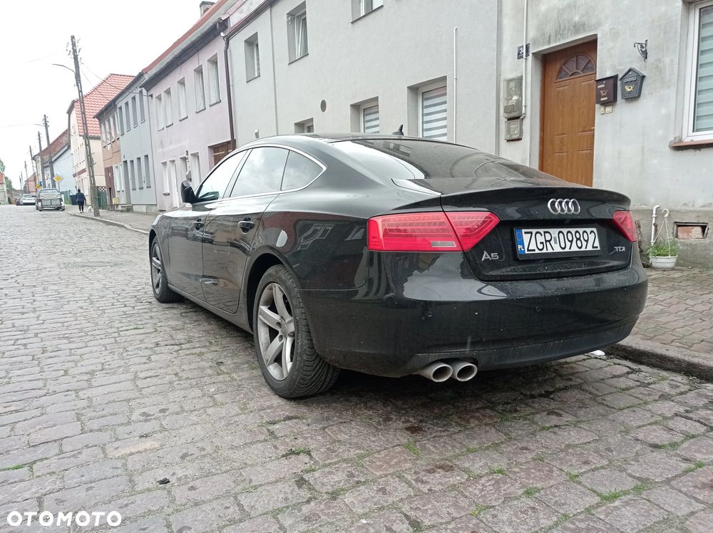 Audi A5 Sportback 2.0 TDI (clean diesel) DPF multitronic - 7