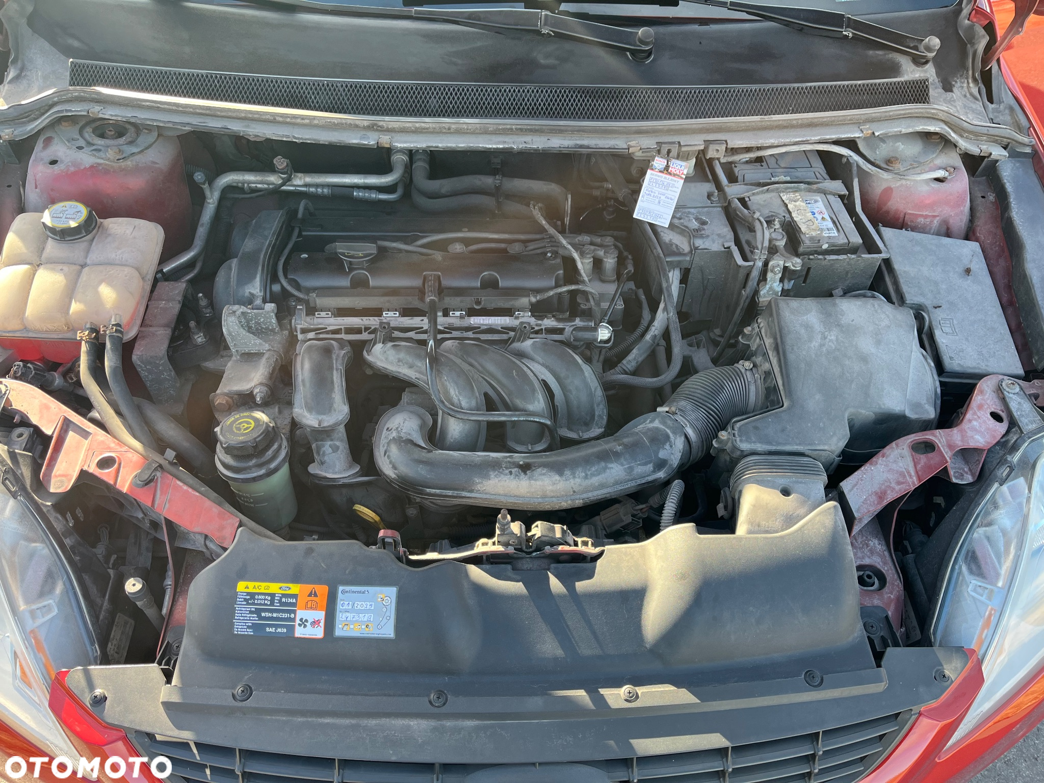 Ford Focus - 21