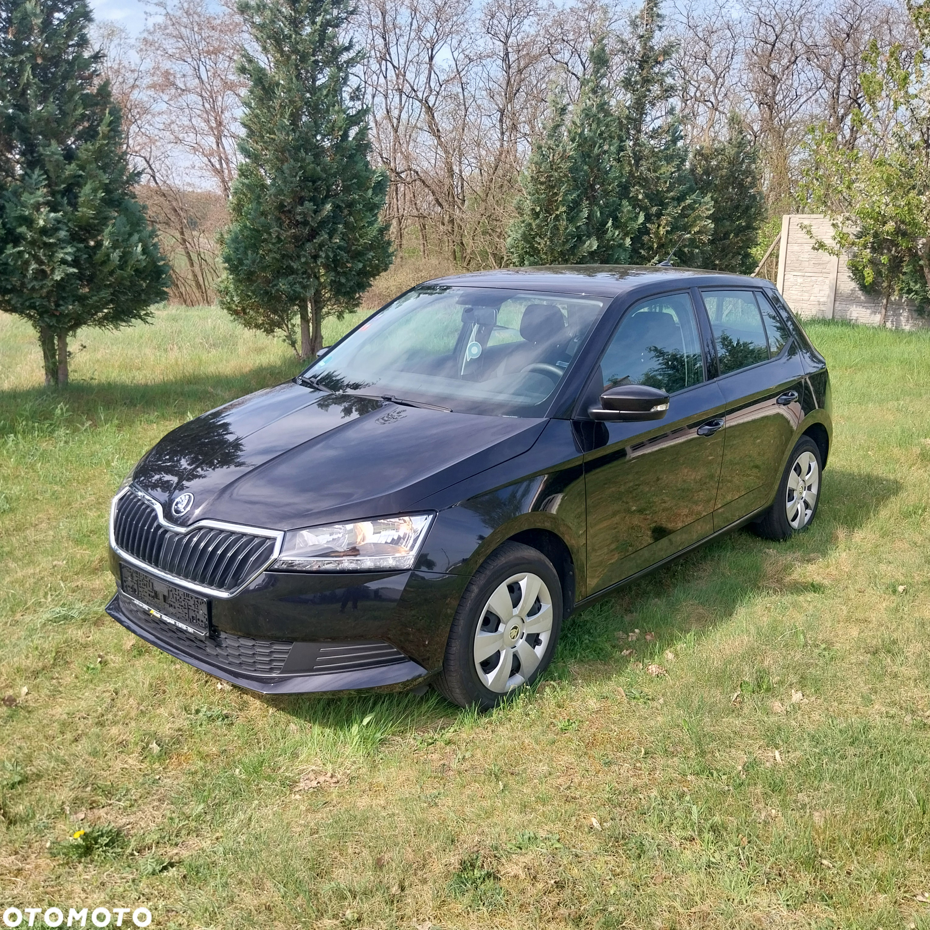 Skoda Fabia 1.0 MPI Ambition - 2
