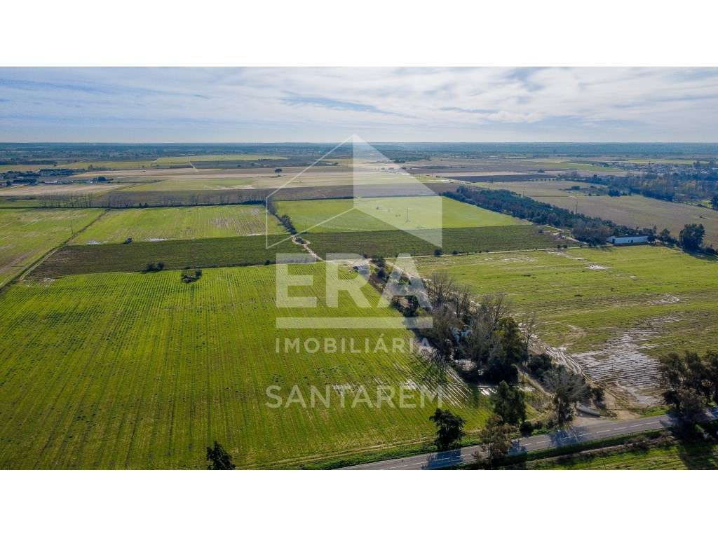 Quinta 25ha com rendimento e Alojamento Local - Grande imagem: 3/47