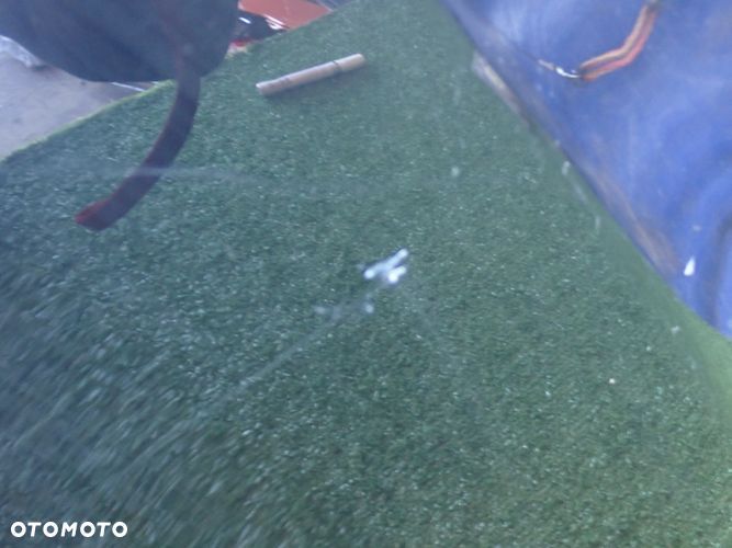 FORD FOCUS MK3 LIFT 14- maska - 5