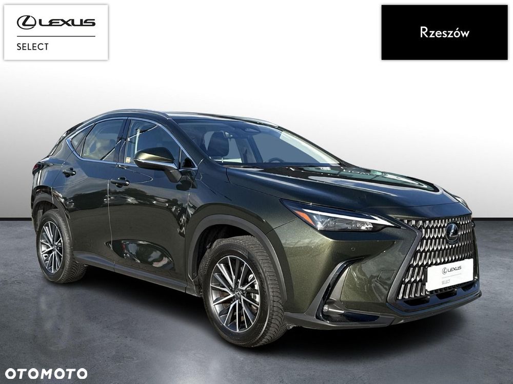 Lexus NX 350h Business AWD - 7
