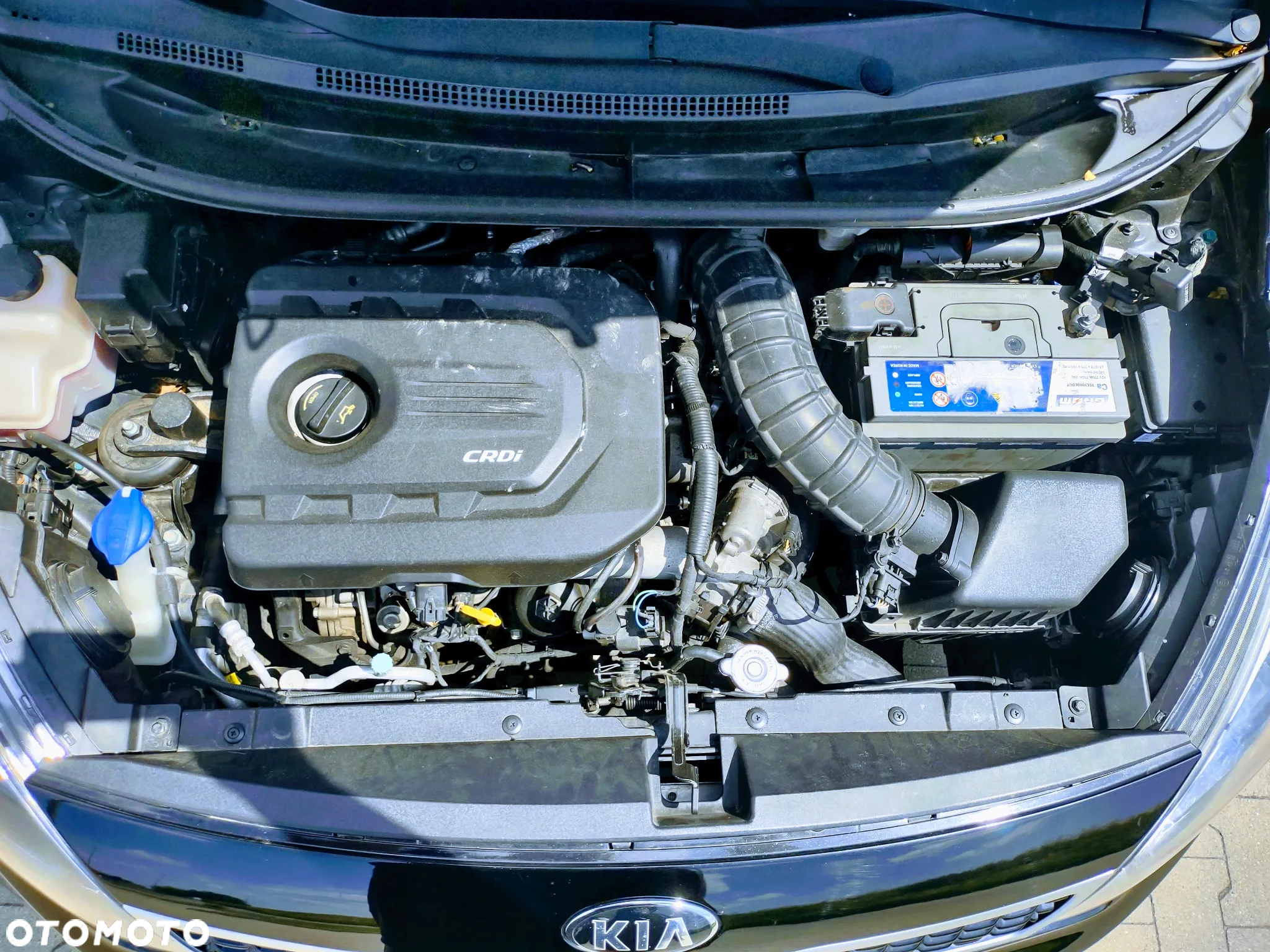 Kia Rio - 4