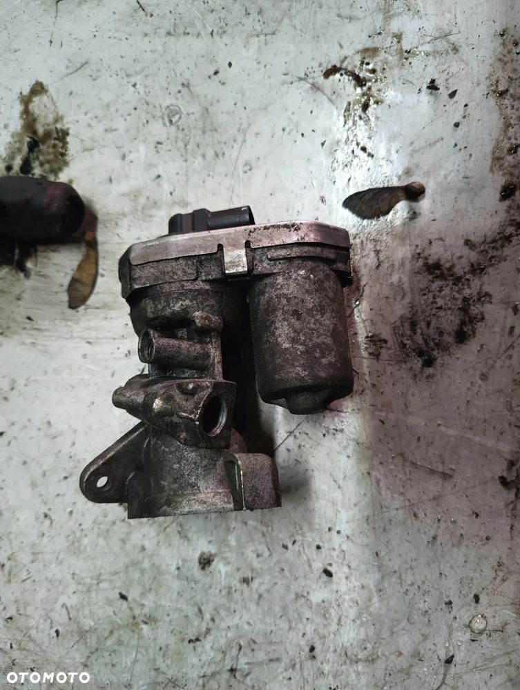 EGR TRANSIT JUMPER BOXER 2.2 06-11R