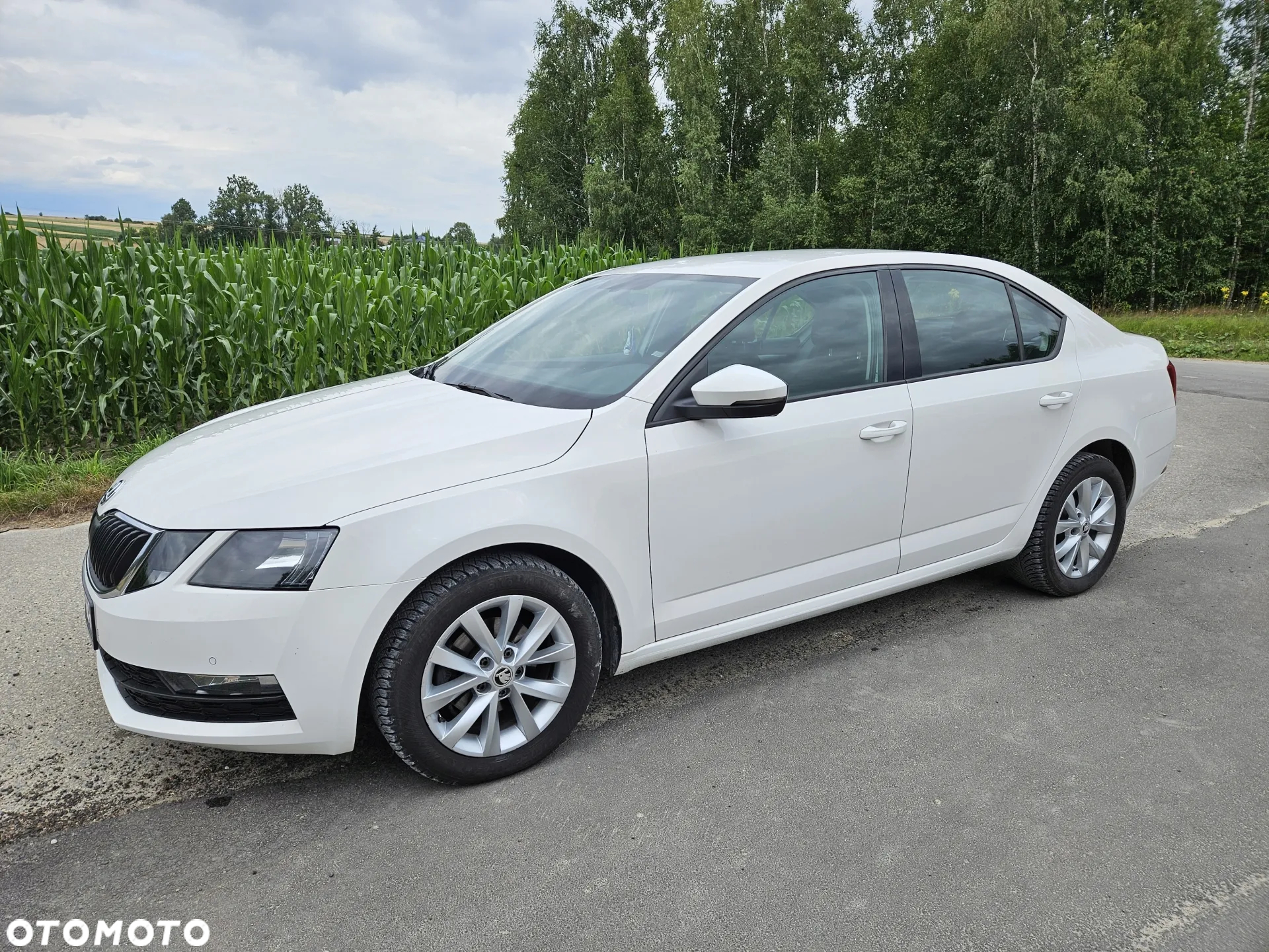 Skoda Octavia 1.6 TDI Ambition - 5