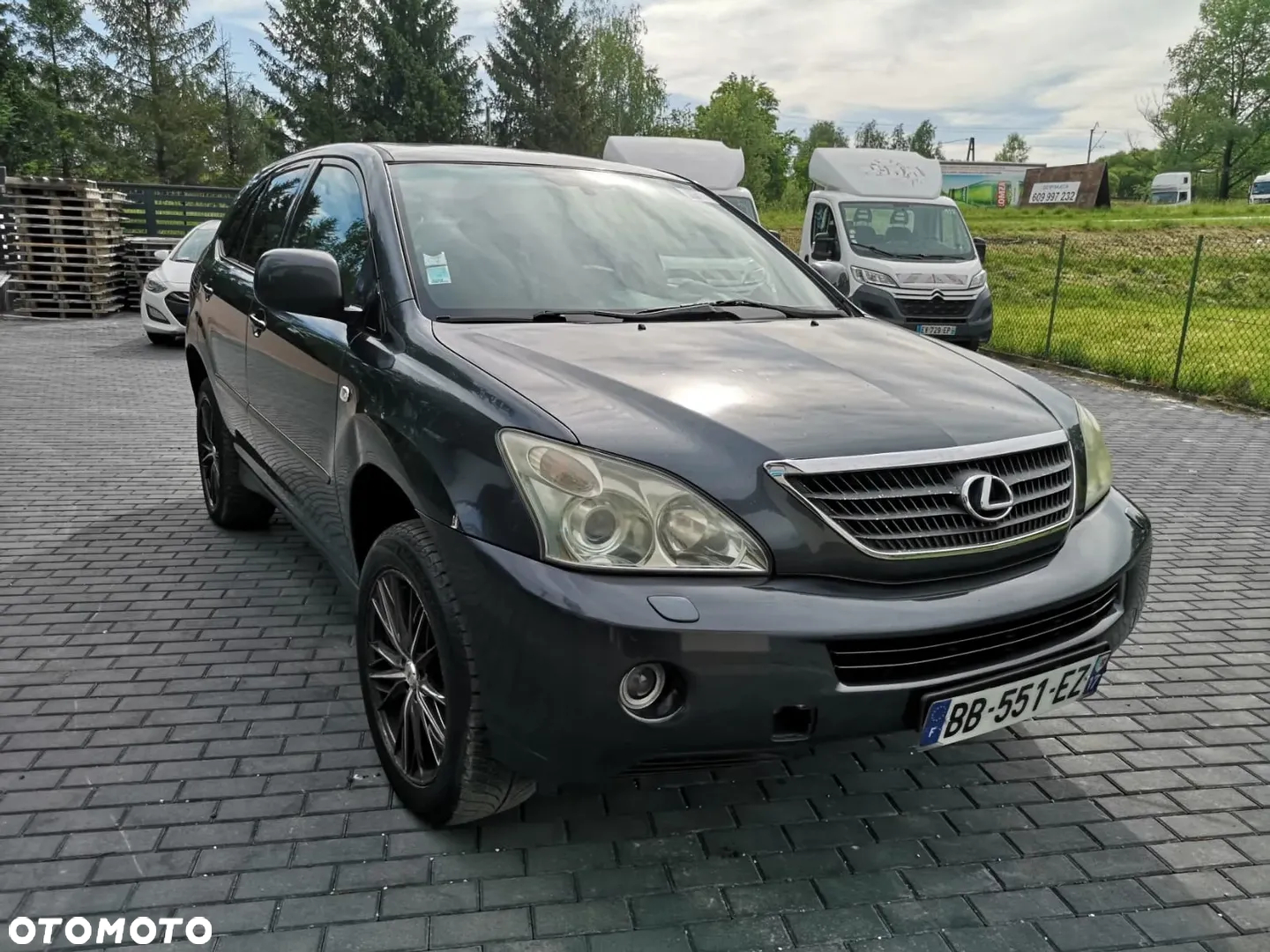Lexus RX 400h (hybrid) Luxury - 15