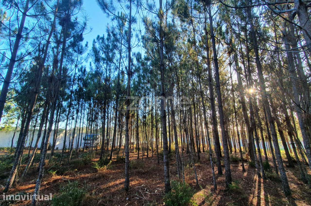 Terreno Rustico - Vista 2
