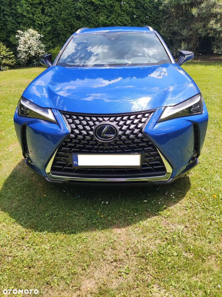 Lexus UX 250h GPF Omotenashi AWD - 7