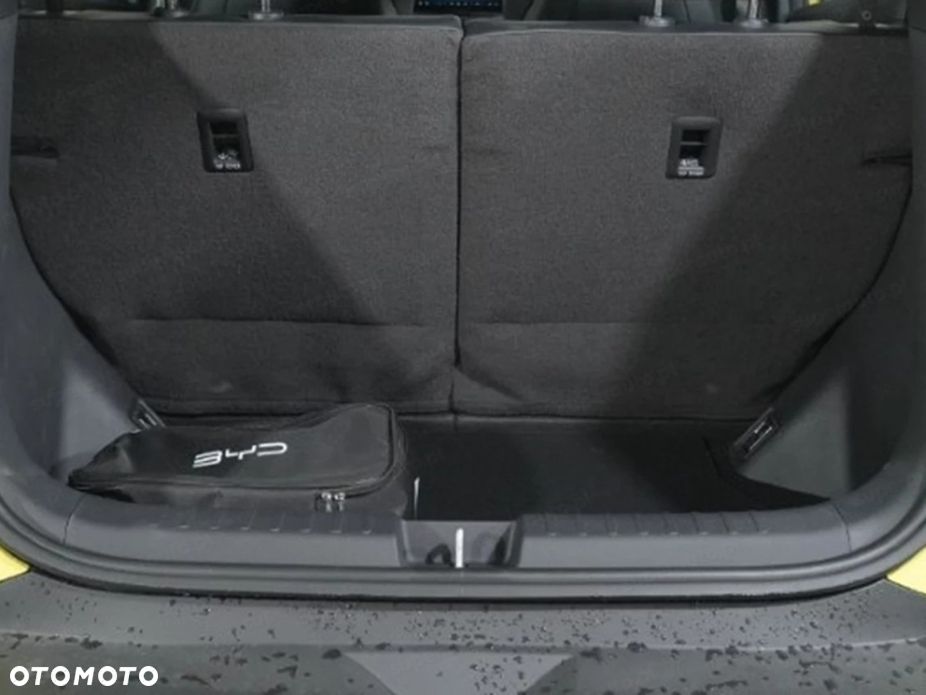 BYD Dolphin Surf - 14