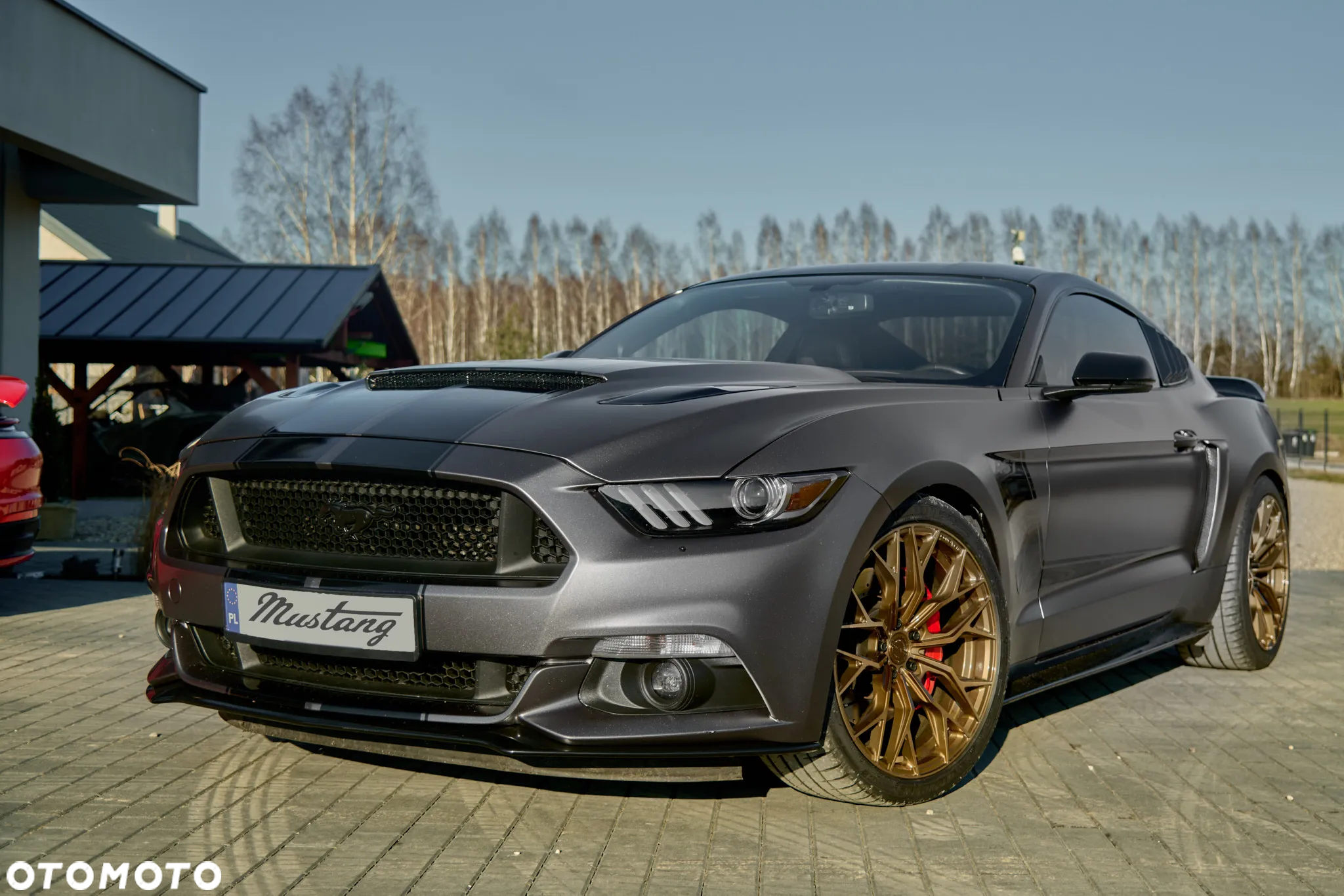 Ford Mustang - 5