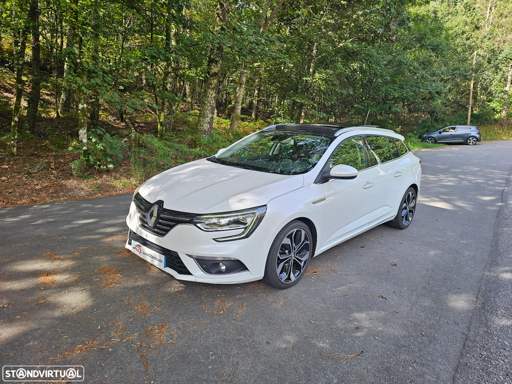 Renault Mégane Sport Tourer 1.6 dCi GT Line J18 - 25